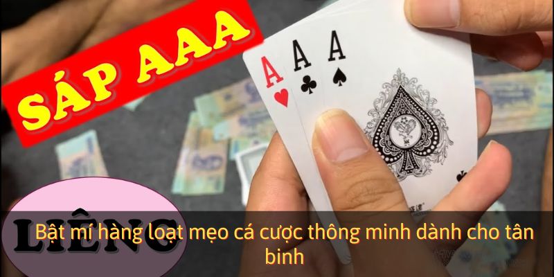 Bật mí hàng loạt mẹo cá cược thông minh dành cho tân binh