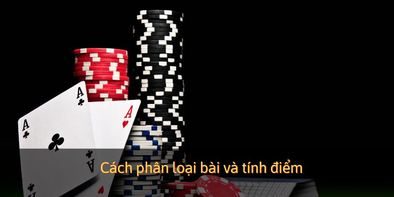Cách phân loại bài và tính điểm