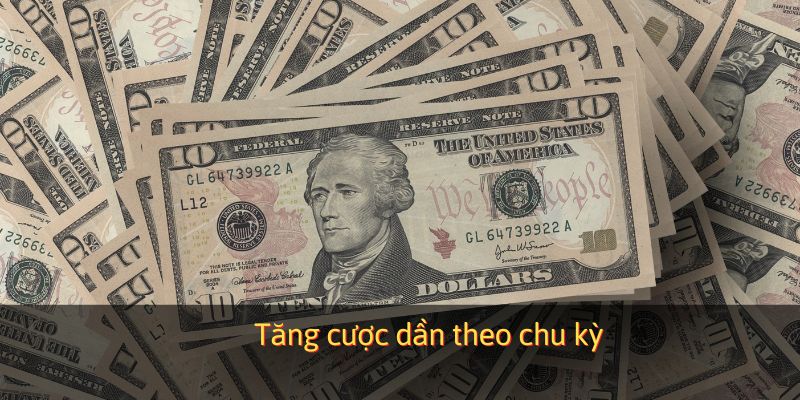 Cân nhắc chia tiền cược hợp lý