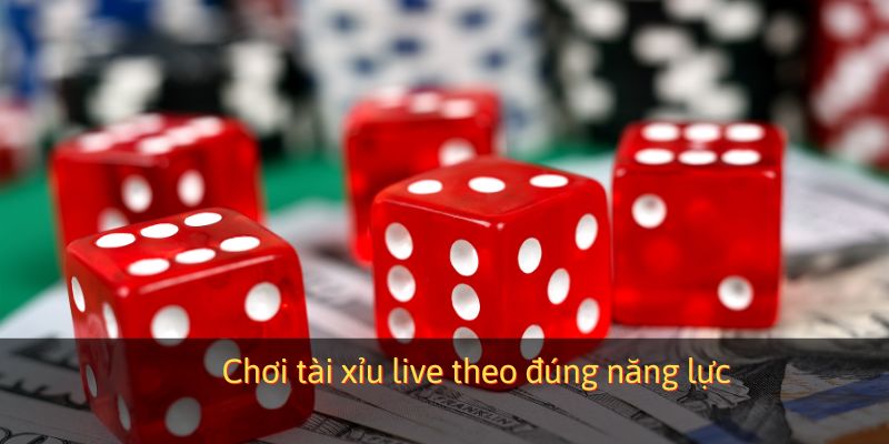 Chơi tài xỉu live theo đúng năng lực