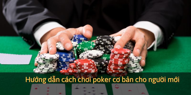Hướng dẫn cách chơi poker cơ bản cho người mới