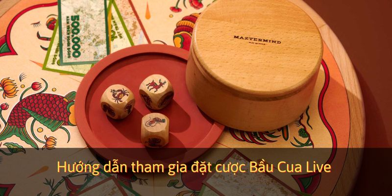 Hướng dẫn tham gia đặt cược Bầu Cua Live
