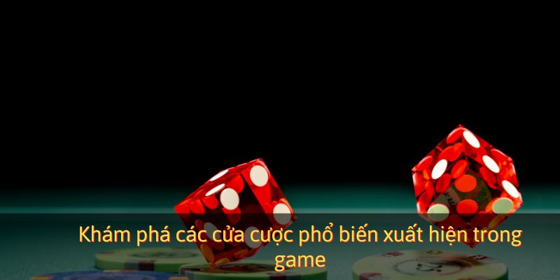 Khám phá các cửa cược phổ biến xuất hiện trong game