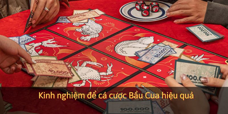 Kinh nghiệm để cá cược Bầu Cua hiệu quả