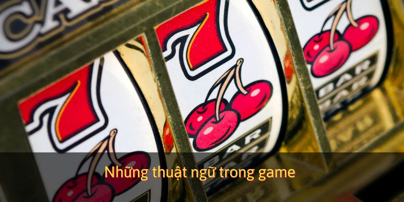 Những thuật ngữ được sử dụng