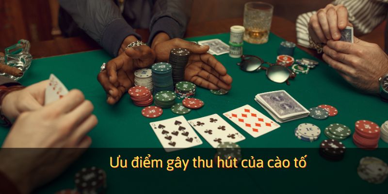 Ưu điểm gây thu hút của cào tố